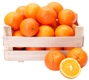 Perssinaasappels (Maat 88) 15KG 