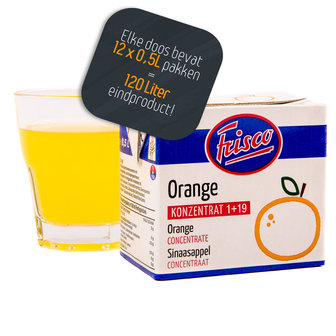 Frisco Sinaasappel 1+19 (12x500ml)