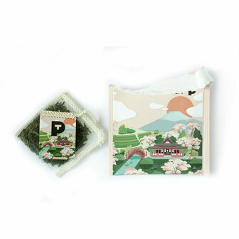 Hayato Sencha (6x15 sachets) NL-BIO-01