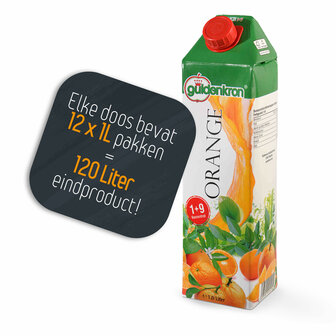 Sinaasappelnektar 1+9 (12x1000ml)