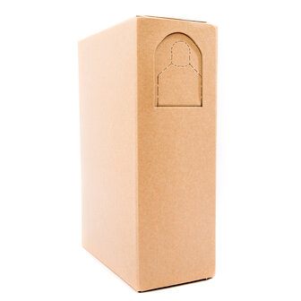 1+6 Sinaasappel 100% BIB (5 liter)