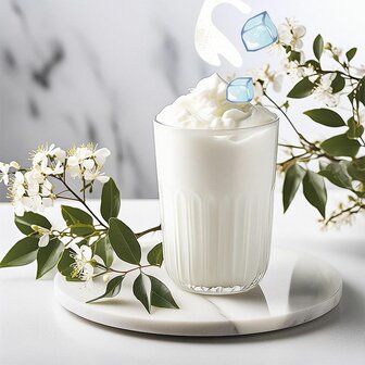 Yoghurt Shake (6 x 1 kg)