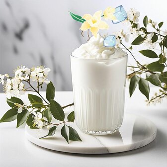 Soft Ice Shake (6 x 1,1 kg)