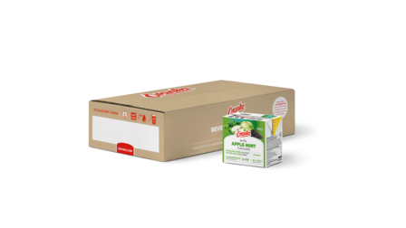 Th&eacute; glac&eacute; Pomme Menthe 1+19