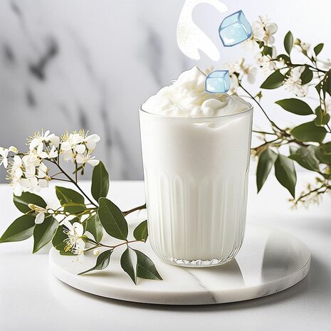 Yoghurt Shake (6 x 1 kg)
