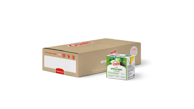 Th&eacute; glac&eacute; Pomme Menthe 1+19